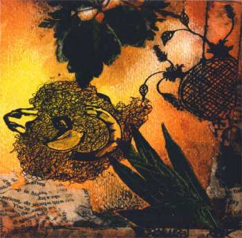 CD Blitzen Trapper: Wild Mountain Nation