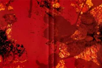 DVD Blood Duster: The Shape Of Death To Come (An Apocalyptic Vision In 26 Bursts)