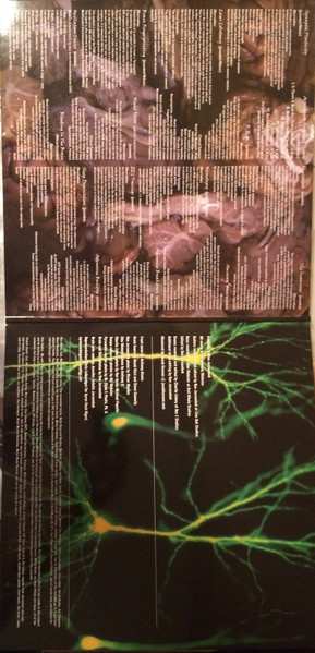 2LP Blotted Science: The Machinations Of Dementia