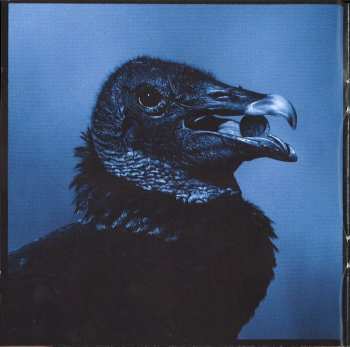 CD Jack White: Blunderbuss