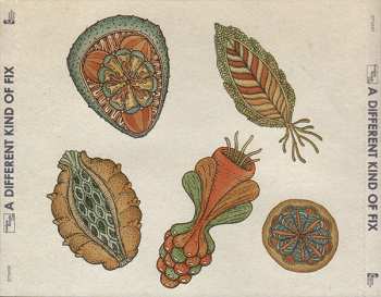 CD Bombay Bicycle Club: A Different Kind Of Fix