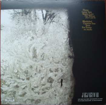 LP Bon Iver: For Emma, Forever Ago