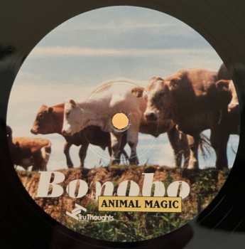 2LP Bonobo: Animal Magic