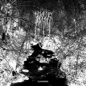 LP Bosque: Cleansing
