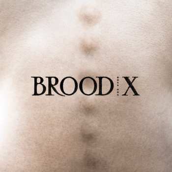 LP Boss Hog: Brood X