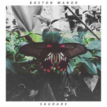 LP Boston Manor: Saudade CLR