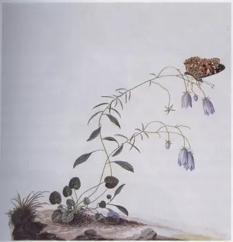 I: The Suicide Tree / II: A Rose From The Dead