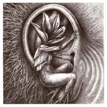 III: Doom In Bloom
