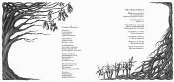 CD Botanist: IV: Mandragora LTD | DIGI