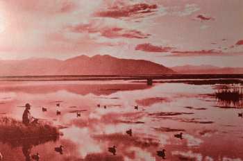 LP Botany: Feeling Today EP