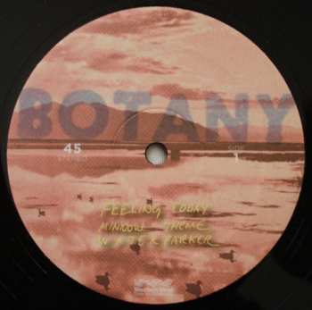 LP Botany: Feeling Today EP