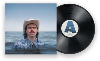 LP Boy Golden: Best Of Our Possible Lives