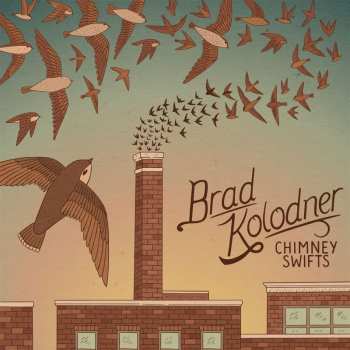 CD Brad Kolodner: Chimney Swifts