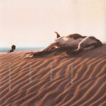 CD Brad Shepik: The Well