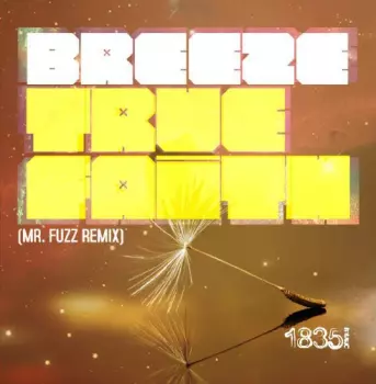 Breeze: True Faith