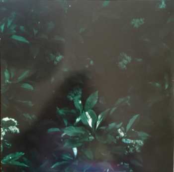 2LP Brent Best: Your Dog, Champ