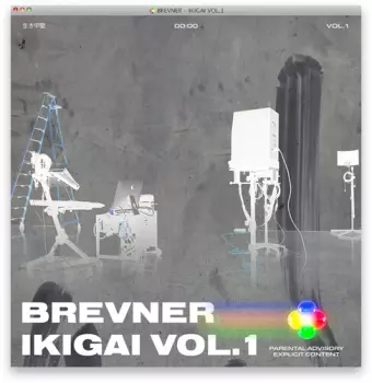 Ikigai Vol 1