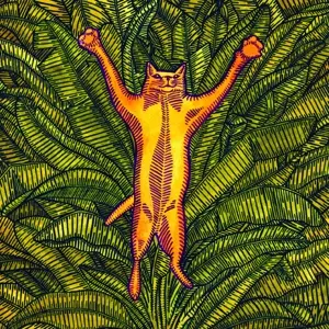 Brian Marsella: Gatos do Sul
