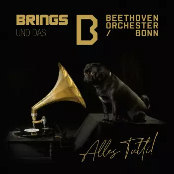 Orchester Der Beethovenhalle Bonn: Alles Tutti!