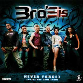 CD Bro'Sis: Never Forget (Where You Come From)