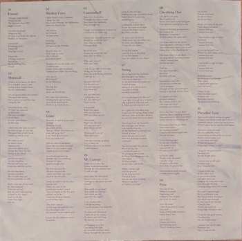 LP Brothertiger: Paradise Lost