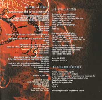 CD Bruce Cockburn: You've Never Seen Everything