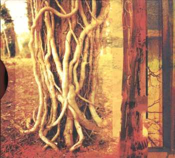 CD/DVD Bruce Springsteen: We Shall Overcome - The Seeger Sessions - American Land Edition