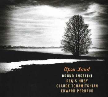 CD Bruno Angelini: Open Land