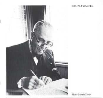 CD Ludwig van Beethoven: Violin Concertos