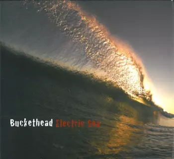 Buckethead: Electric Sea