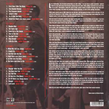 2LP Buddy Guy: Pure Raw Blues