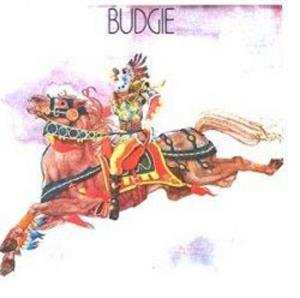 LP Budgie: Budgie