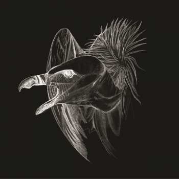 Album Buried At Sea: Migration