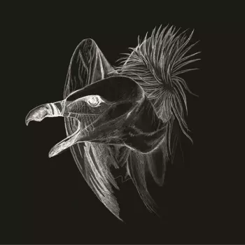 Migration
