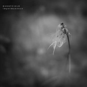 Album Burntfield: Impermanence