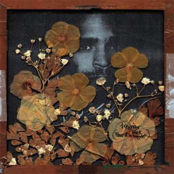 Album Busdriver: Fear Of A Black Tangent