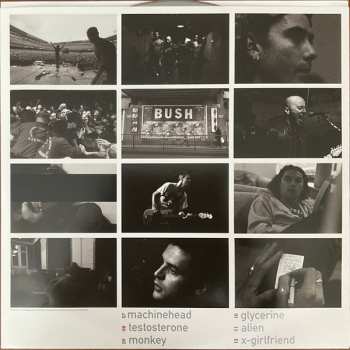 2LP Bush: Sixteen Stone CLR | LTD