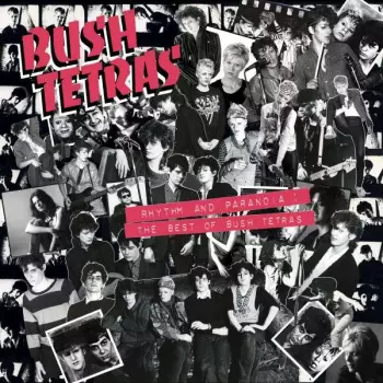 Bush Tetras: Rhythm and Paranoia: The Best of Bush Tetras