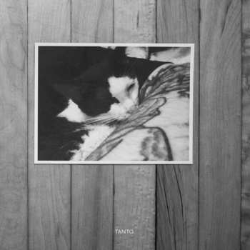 CD bvdub: Tanto