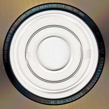 CD By The Tree: Hold You High