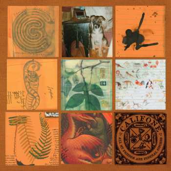 CD Califone: All My Friends Are Funeral Singers
