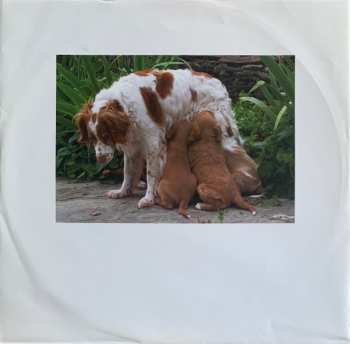 2LP Call Super: Suzi Ecto LTD