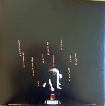 2LP/CD Camille: Music Hole
