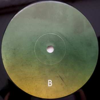 2LP Carbon Based Lifeforms: Twentythree
