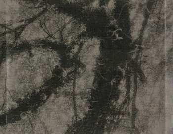 CD Cardinal Noire: Vitriol