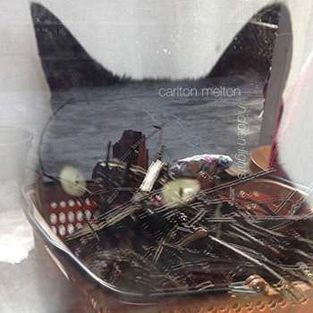 Album Carlton Melton: Hidden Lights