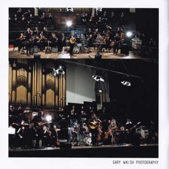 CD Cattle & Cane: Home