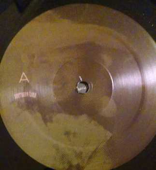 LP Centuries: The Lights Of This Earth Are Blinding