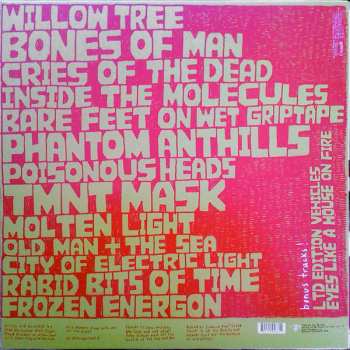 2LP Chad VanGaalen: Soft Airplane