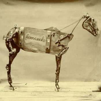 LP Chadwick Stokes: The Horse Comanche